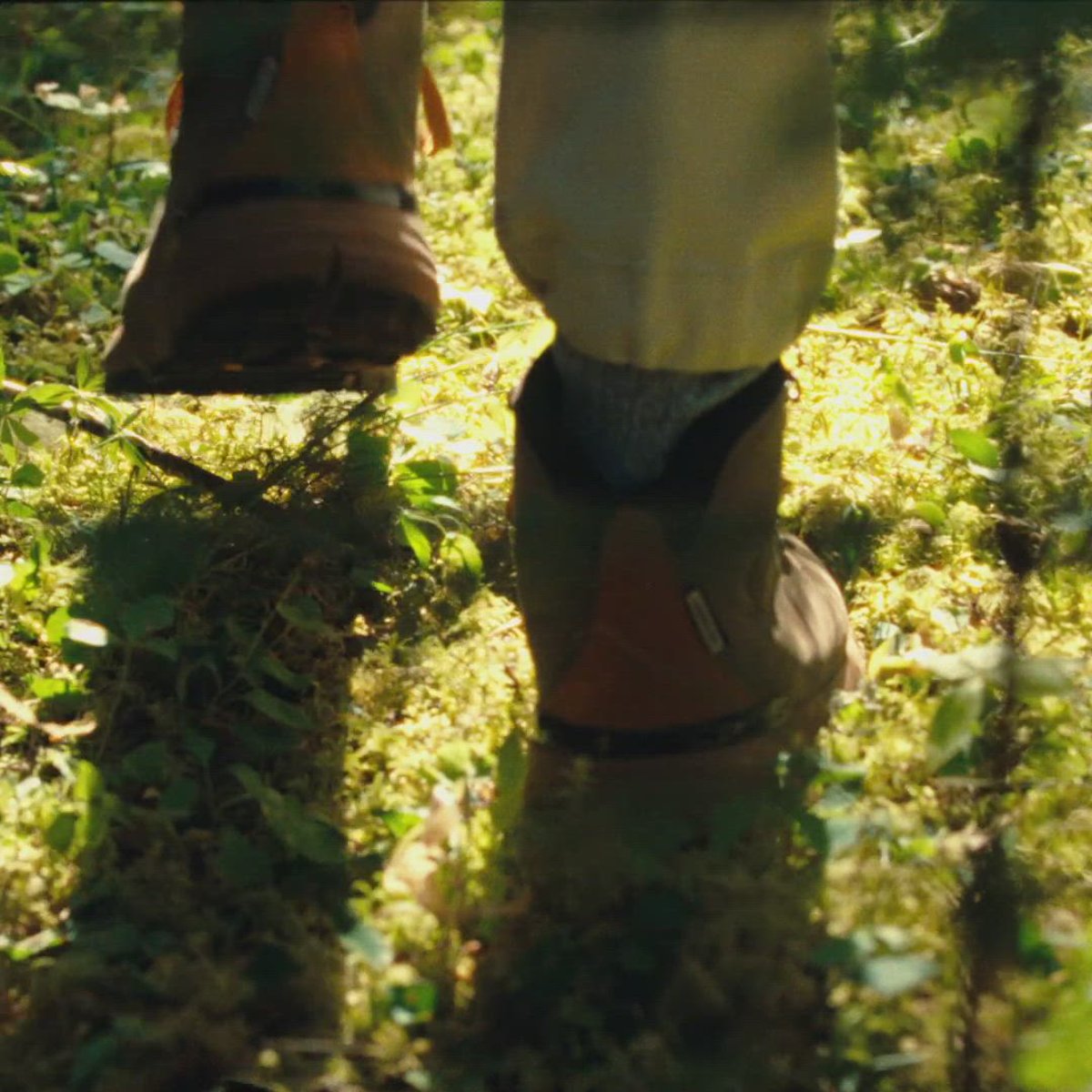 Danner Mountain 600 Jet Black/Dark Shadow