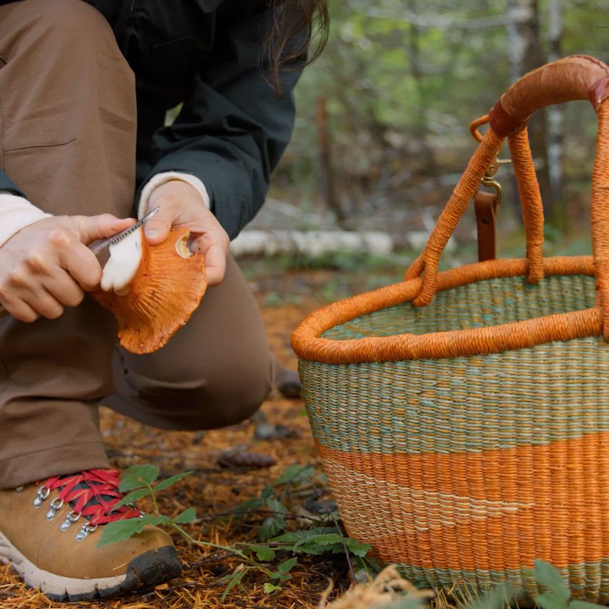 Danner Boulder Ridge Pants Dusty Olive